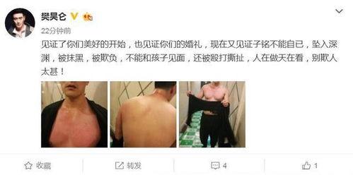 石家庄离异爆料事件最新,真相与争议交织的婚姻裂痕