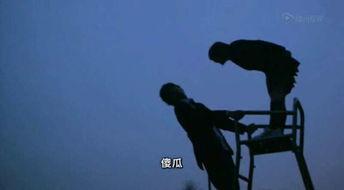 前路漫漫在线观看,探索未知旅程的勇气与智慧